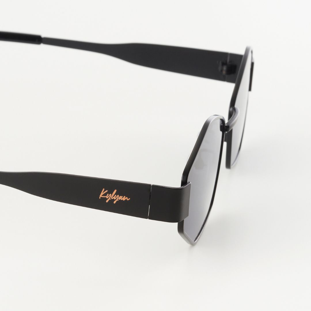 Salina Black Sunglasses